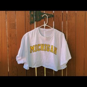 Michigan Cropped Tee